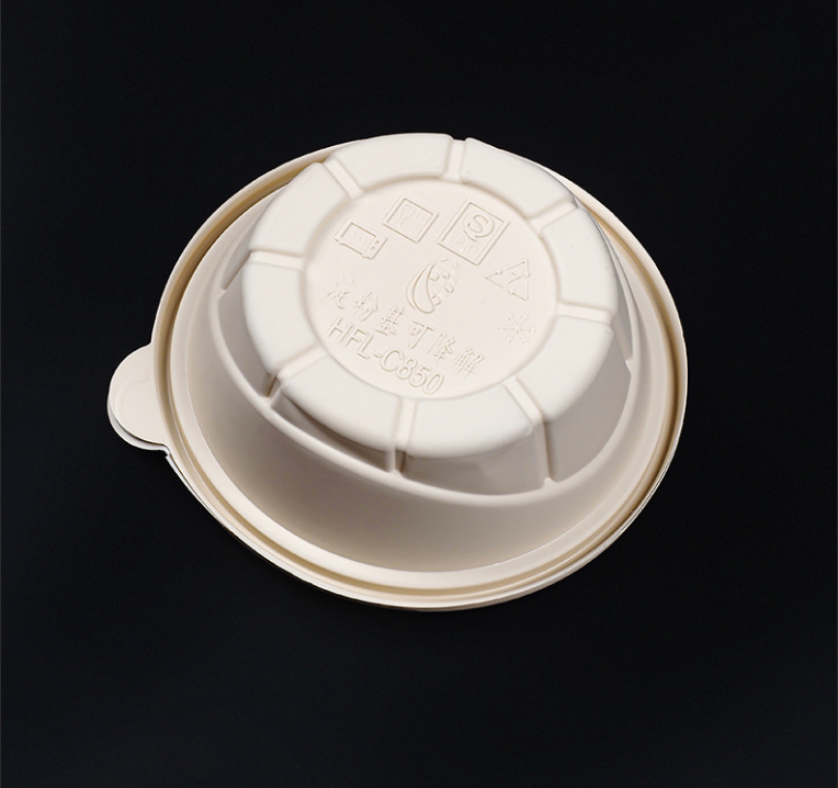 Biodegradable food box/Compostable ice cream bowl/Eco-friendly takeaway container - Image 2