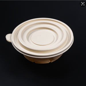 Biodegradable food box/Compostable ice cream bowl/Eco-friendly takeaway container