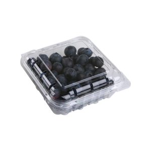 Eco-friendly vegetable blister pack/Fresh fruit plastic tray/Custom produce packaging