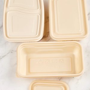 Compostable ice cream bowl/Eco-friendly takeaway container/Disposable sugarcane fiber tray