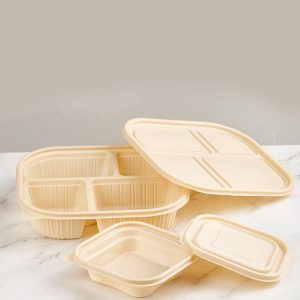 starch-based/Sugarcane pulp disposable container/Biodegradable food box