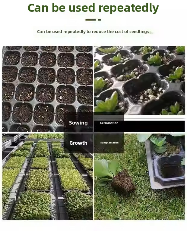 Plastic seedling tray/Nursery blister tray/Seed starting tray - Image 2