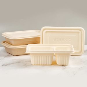 Compostable ice cream bowl/Eco-friendly takeaway container